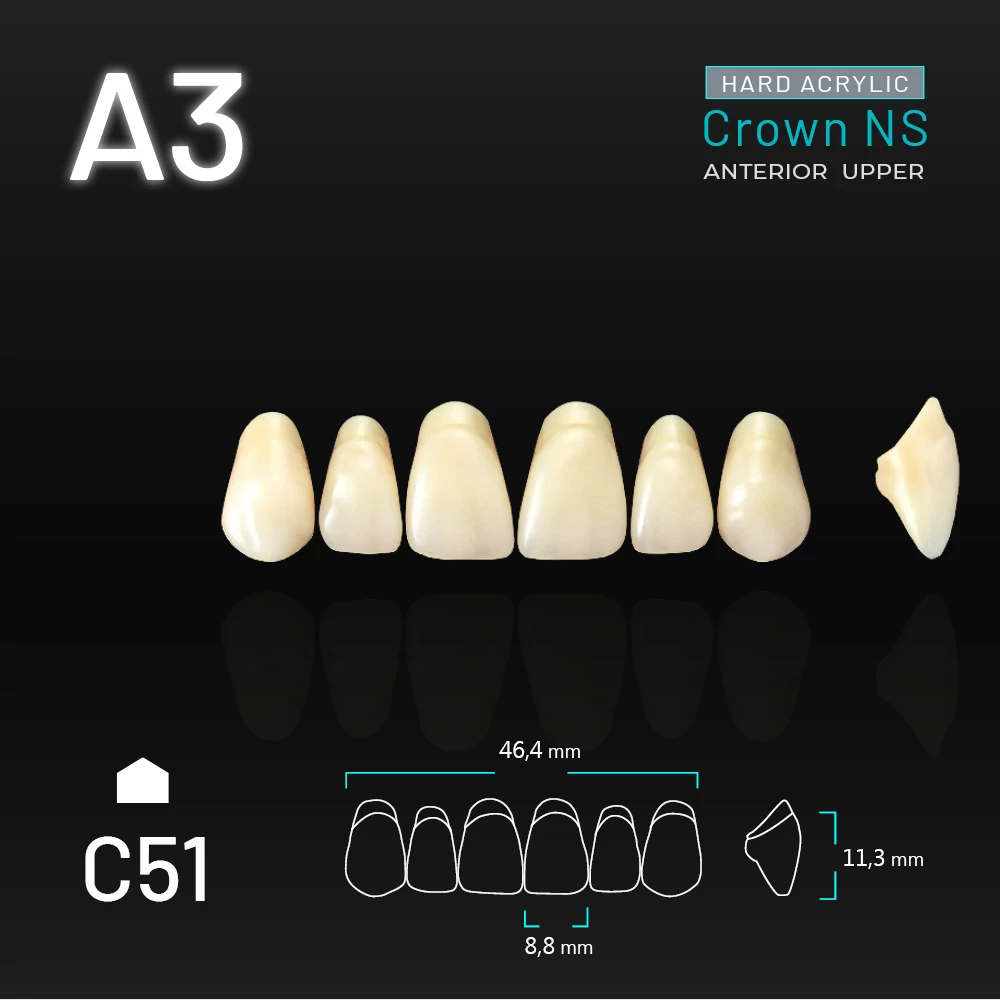 Yamahachi Acryl Crown NS upper anterior A3-C51