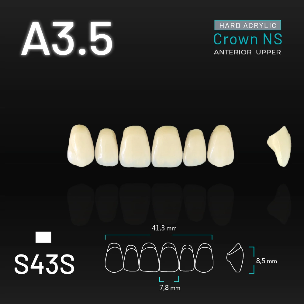 Yamahachi Acryl Crown NS upper anterior A3,5-S43S