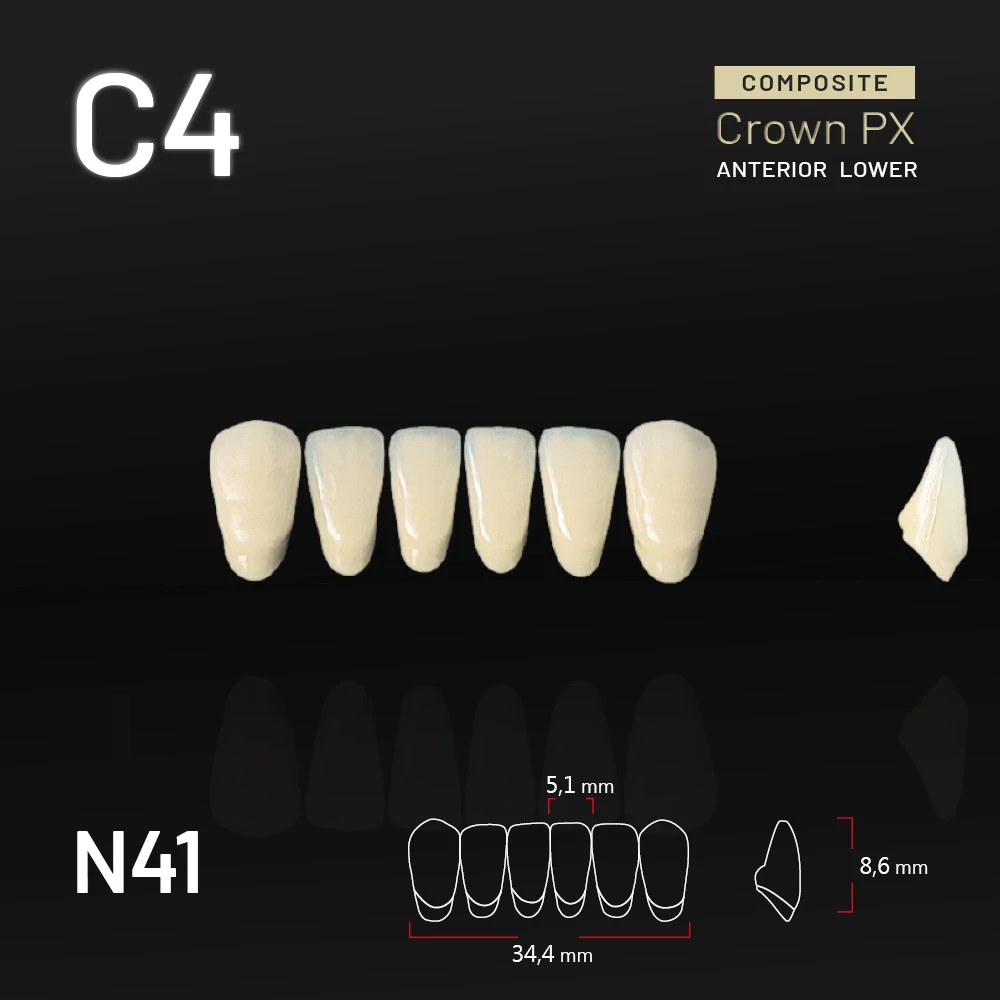 Yamahachi Composit Crown PX lower anterior C4-N41