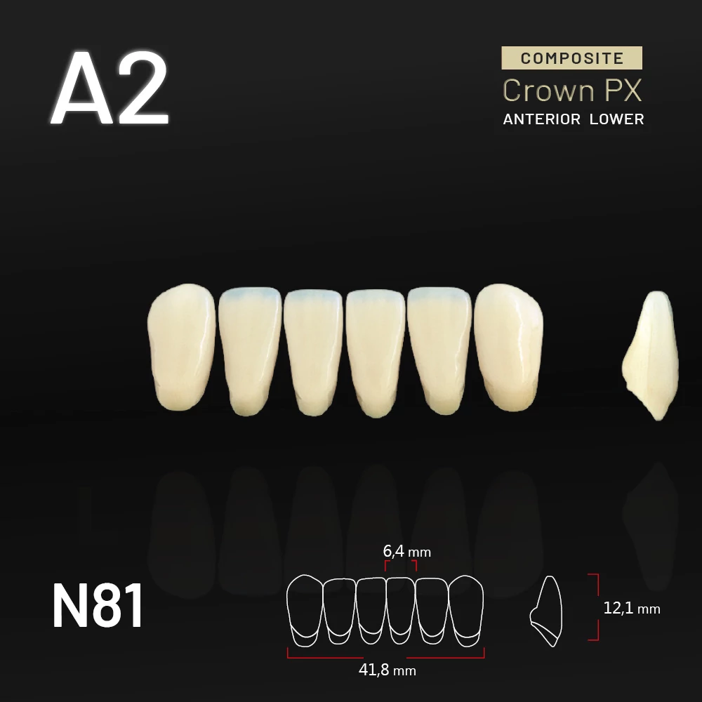 Yamahachi Composit Crown PX lower anterior A2-N81