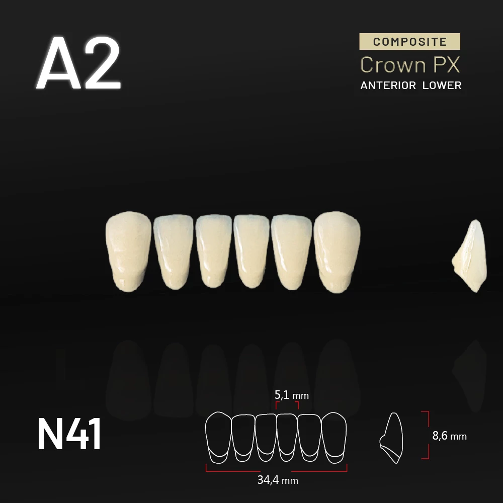 Yamahachi Composit Crown PX lower anterior A2-N41