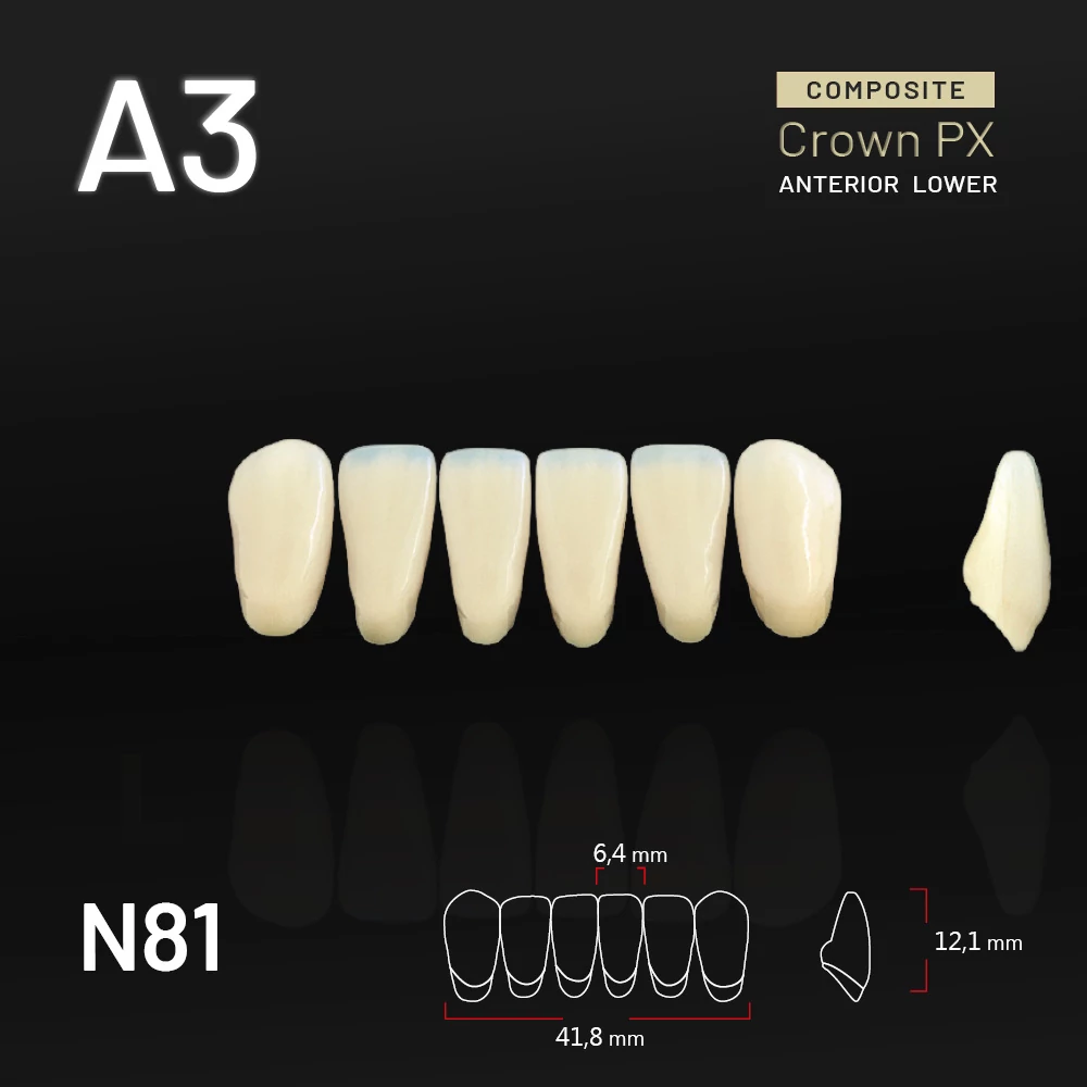 Yamahachi Composit Crown PX lower anterior A3-N81