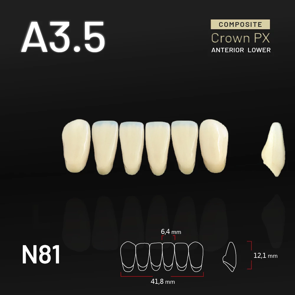 Yamahachi Composit Crown PX lower anterior A3,5-N81