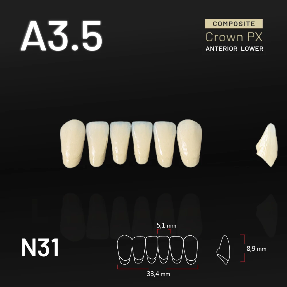Yamahachi Composit Crown PX lower anterior A3,5-N31