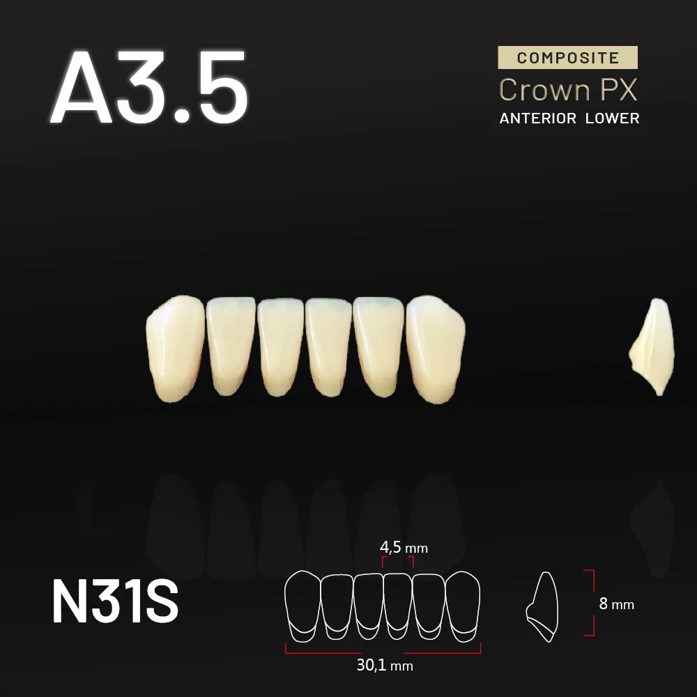 Yamahachi Composit Crown PX lower anterior A3,5-N31S
