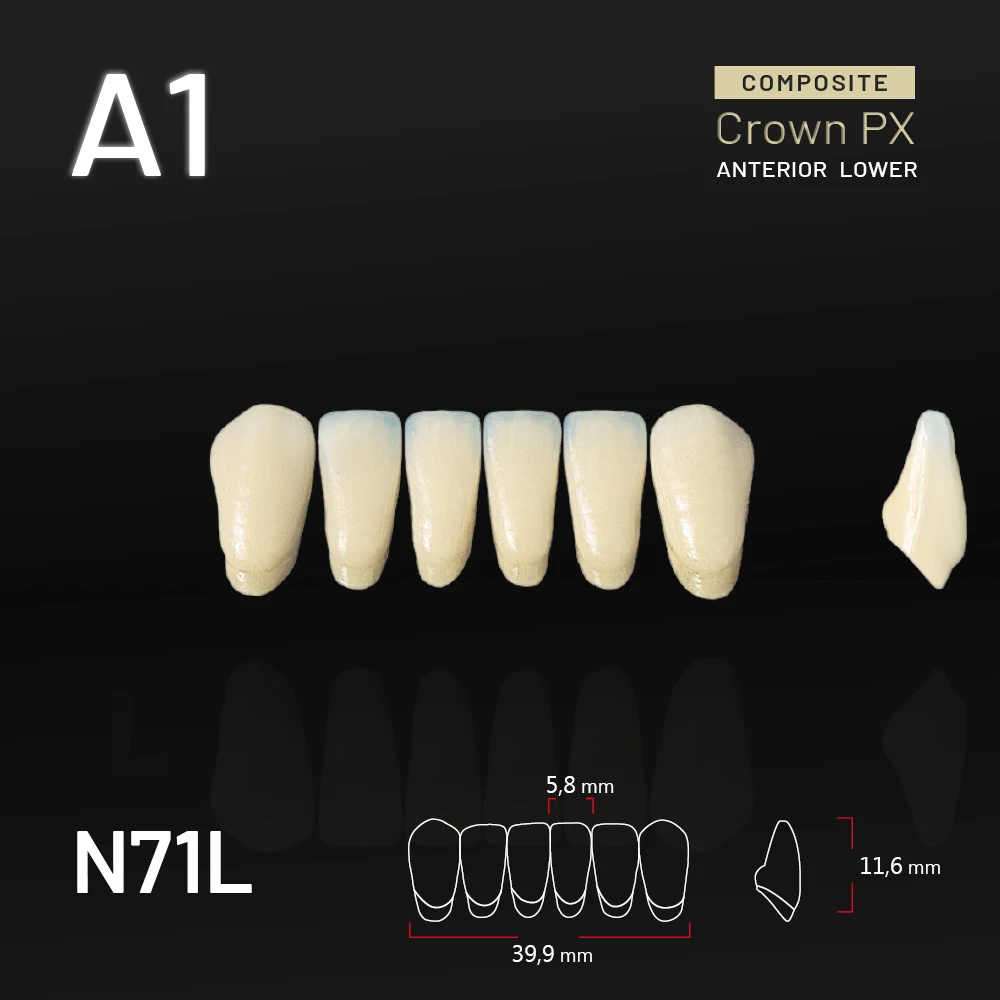 Yamahachi Composit Crown PX lower anterior A1-N71L