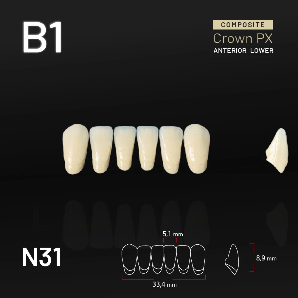 Yamahachi Composit Crown PX lower anterior B1-N31