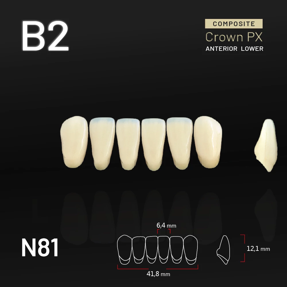 Yamahachi Composit Crown PX lower anterior B2-N81
