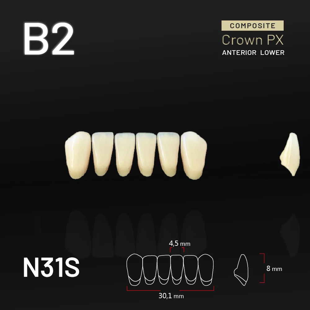 Yamahachi Composit Crown PX lower anterior B2-N31S