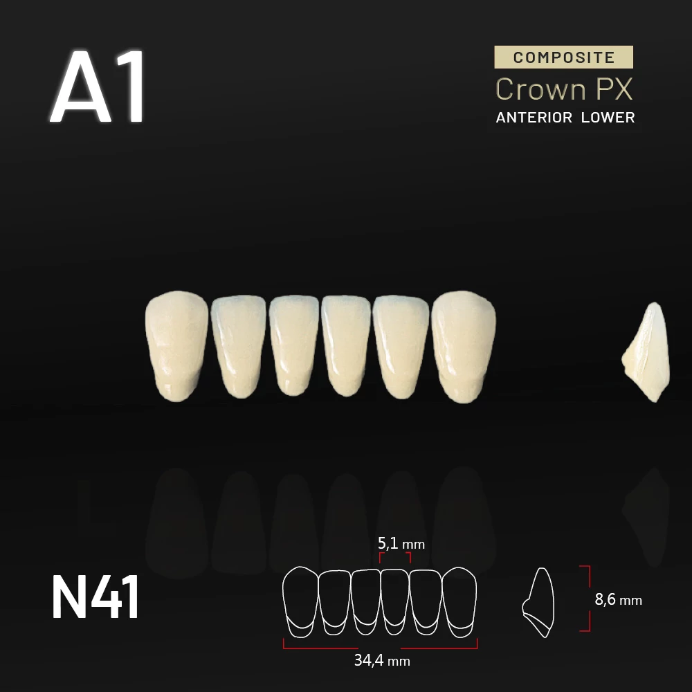 Yamahachi Composit Crown PX lower anterior A1-N41