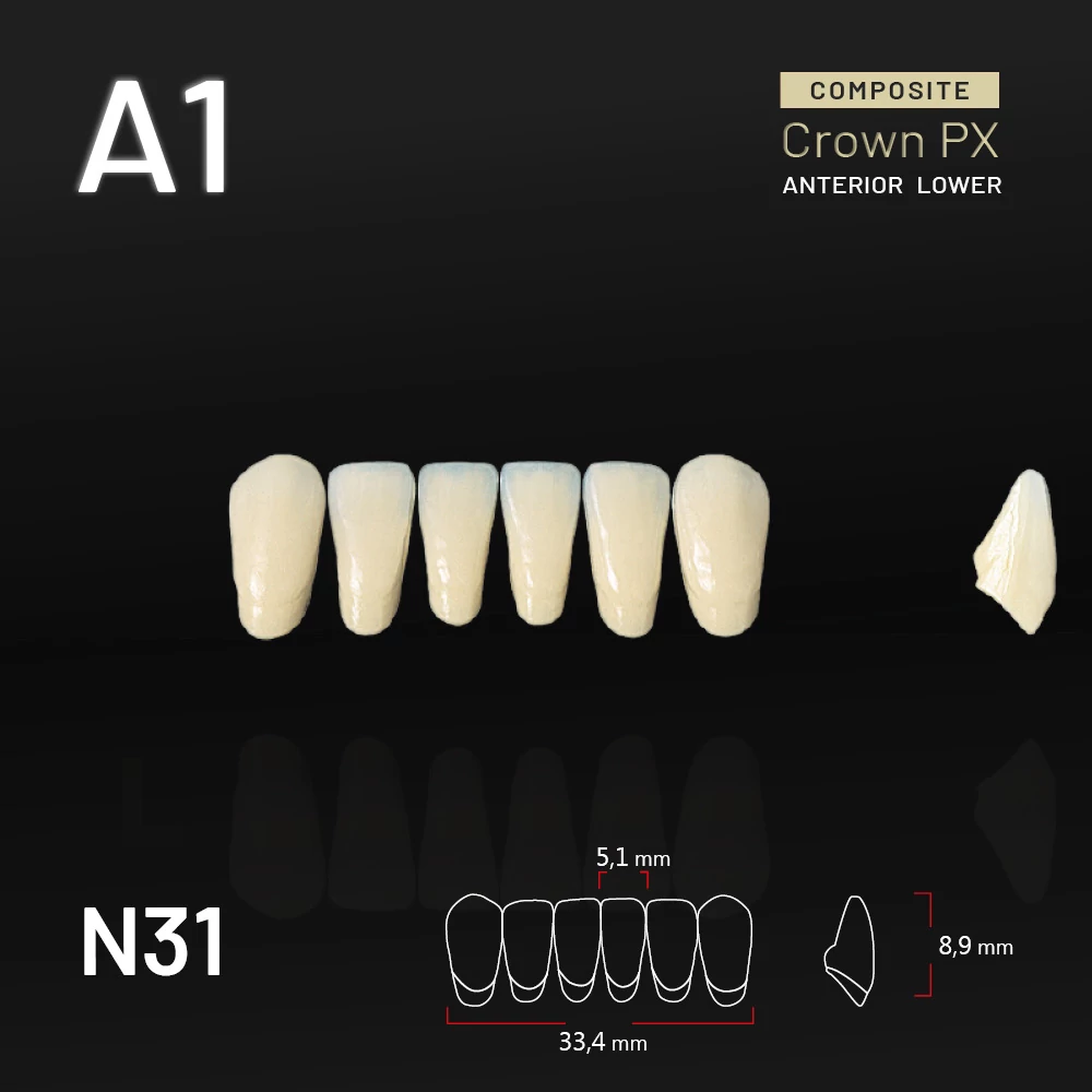 Yamahachi Composit Crown PX lower anterior A1-N31