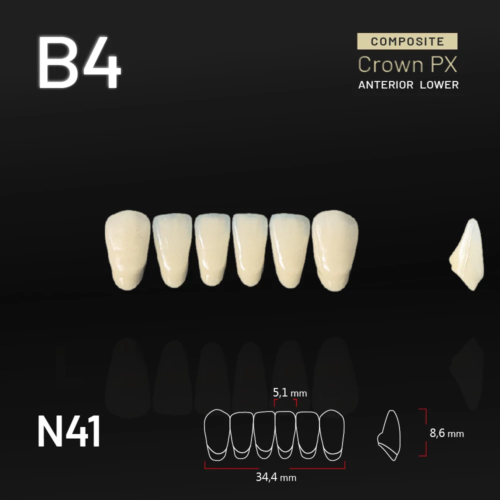 Yamahachi Composit Crown PX lower anterior B4-N41