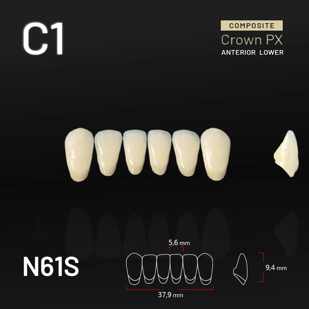 Yamahachi Composit Crown PX lower anterior C1-N61S