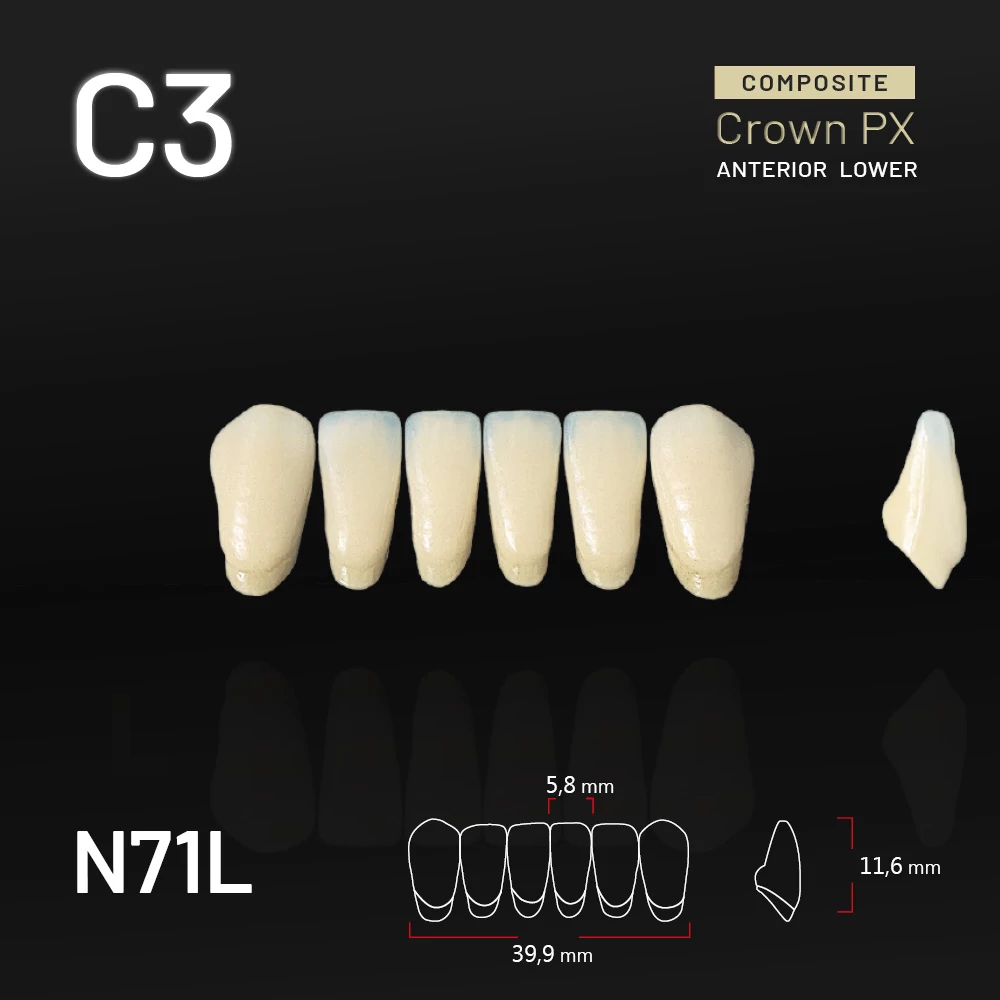 Yamahachi Composit Crown PX lower anterior C3-N71L