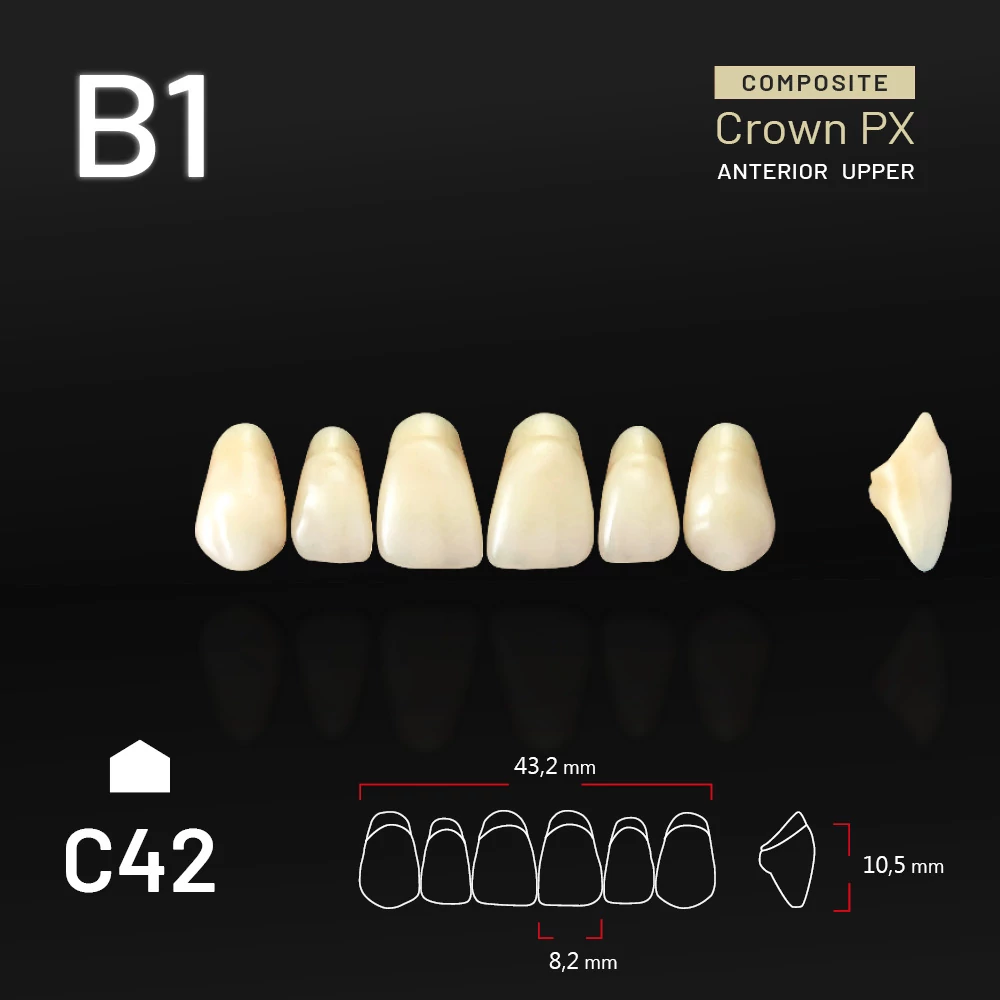 Yamahachi Composit Crown PX upper anterior B1-C42