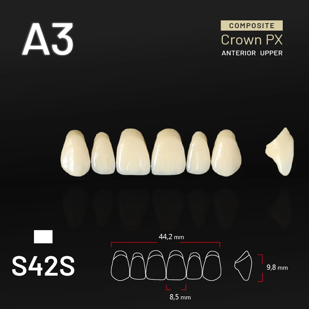 Yamahachi Composit Crown PX upper anterior A3-S42S