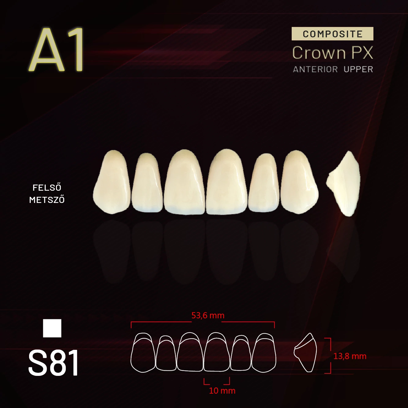 YM Composit Crown Felső metsző A1-S81