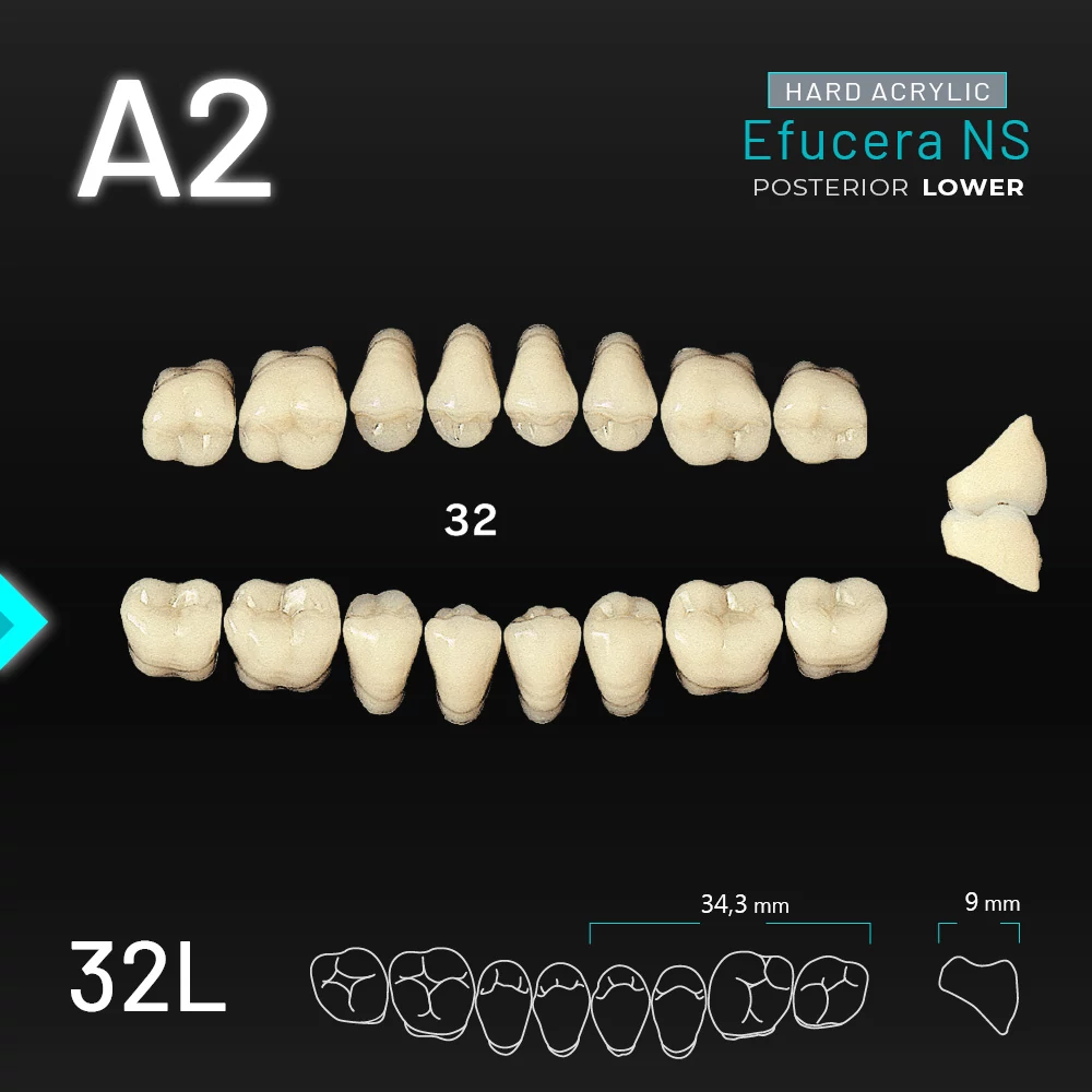 Yamahachi Acryl Efucera NS lower posterior A2-32L