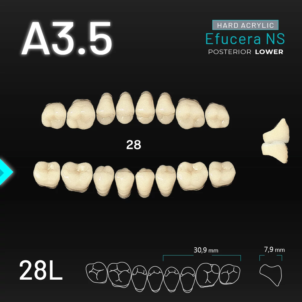 Yamahachi Acryl Efucera NS lower posterior A3,5-28L
