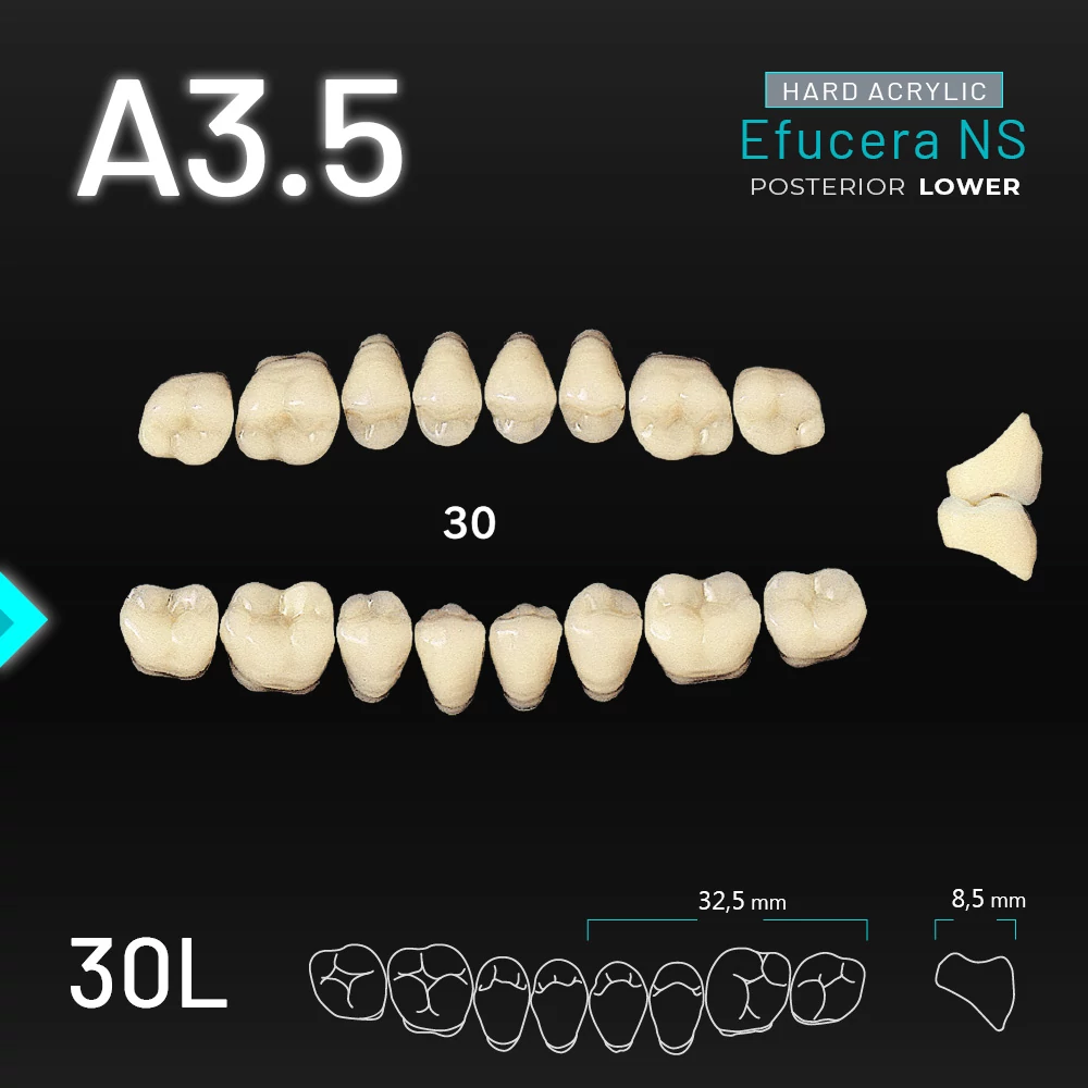 Yamahachi Acryl Efucera NS lower posterior A3,5-30L