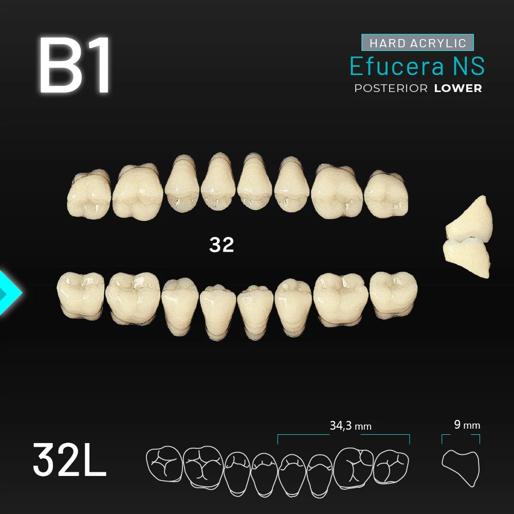 Yamahachi Acryl Efucera NS lower posterior B1-32L