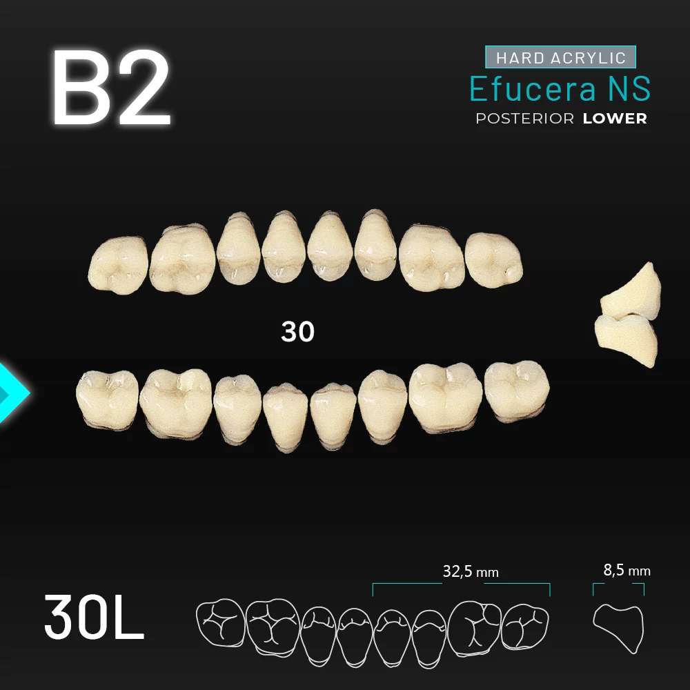 Yamahachi Acryl Efucera NS lower posterior B2-30L