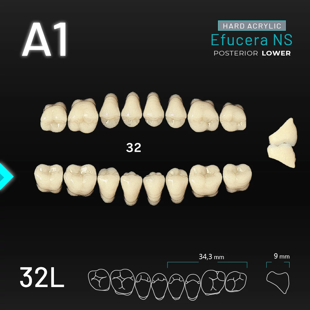 Yamahachi Acryl Efucera NS lower posterior A1-32L