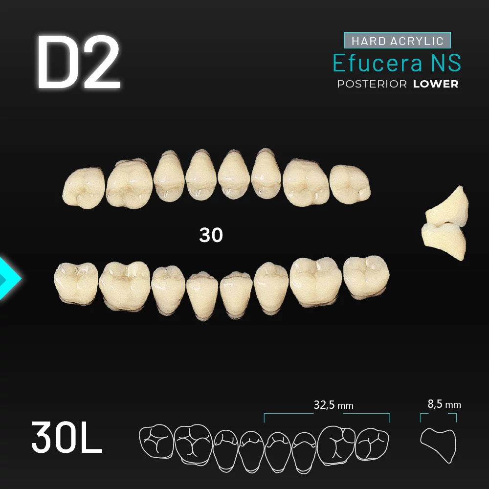 Yamahachi Acryl Efucera NS lower posterior D2-30L