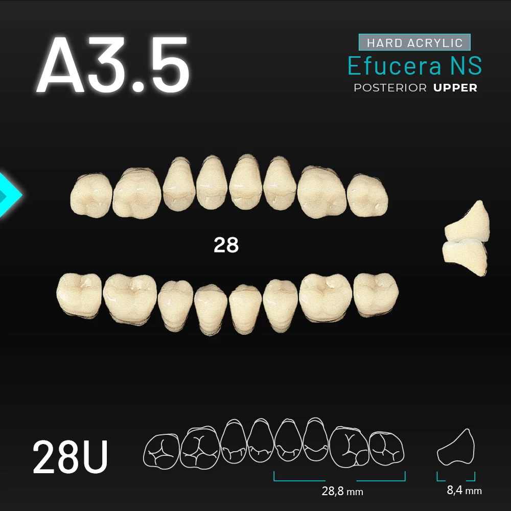 Yamahachi Acryl Efucera NS upper posterior A3,5-28U