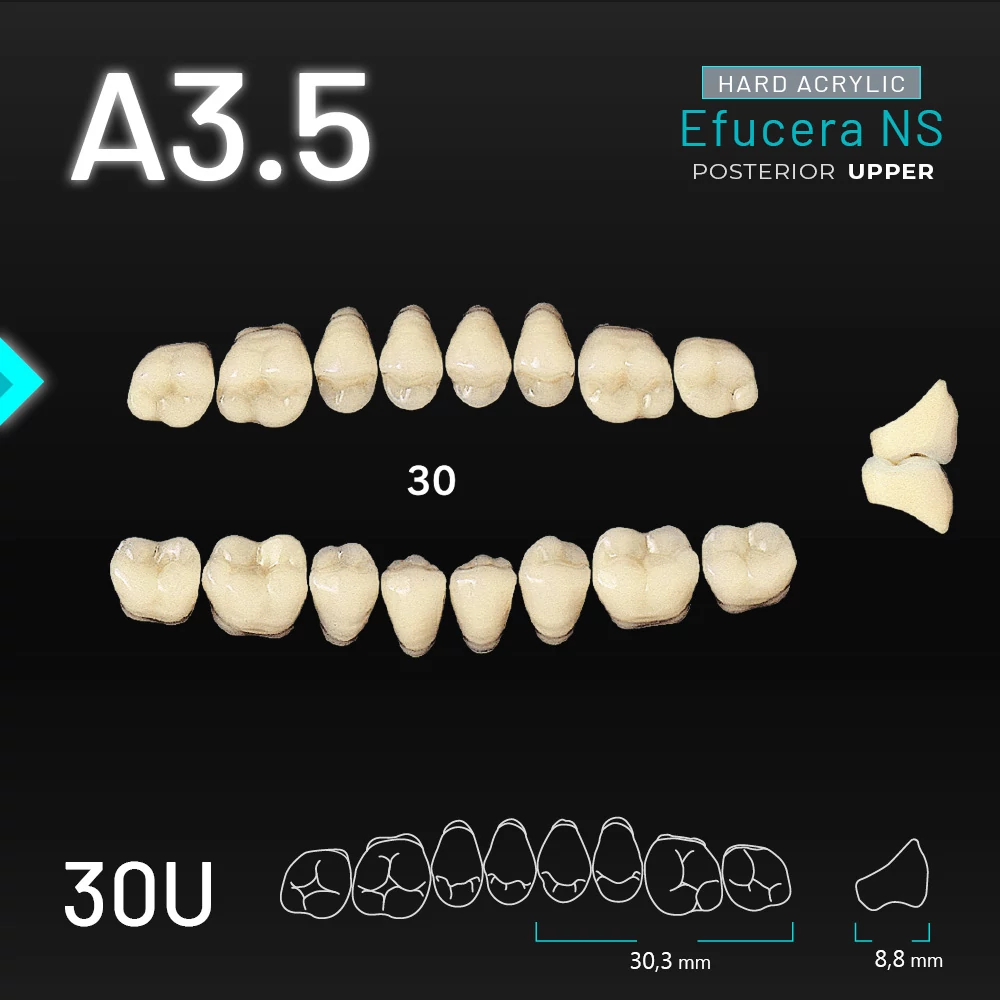 Yamahachi Acryl Efucera NS upper posterior A3,5-30U