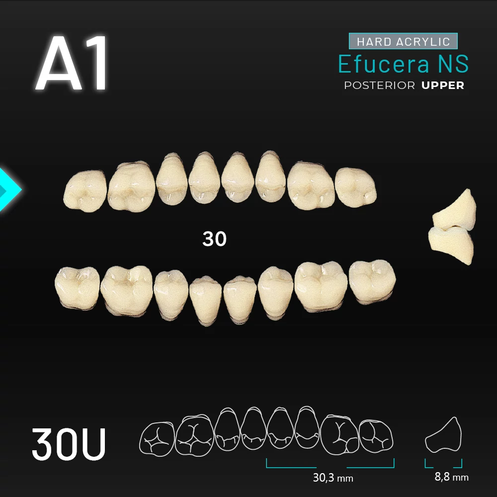 Yamahachi Acryl Efucera NS upper posterior A1-30U