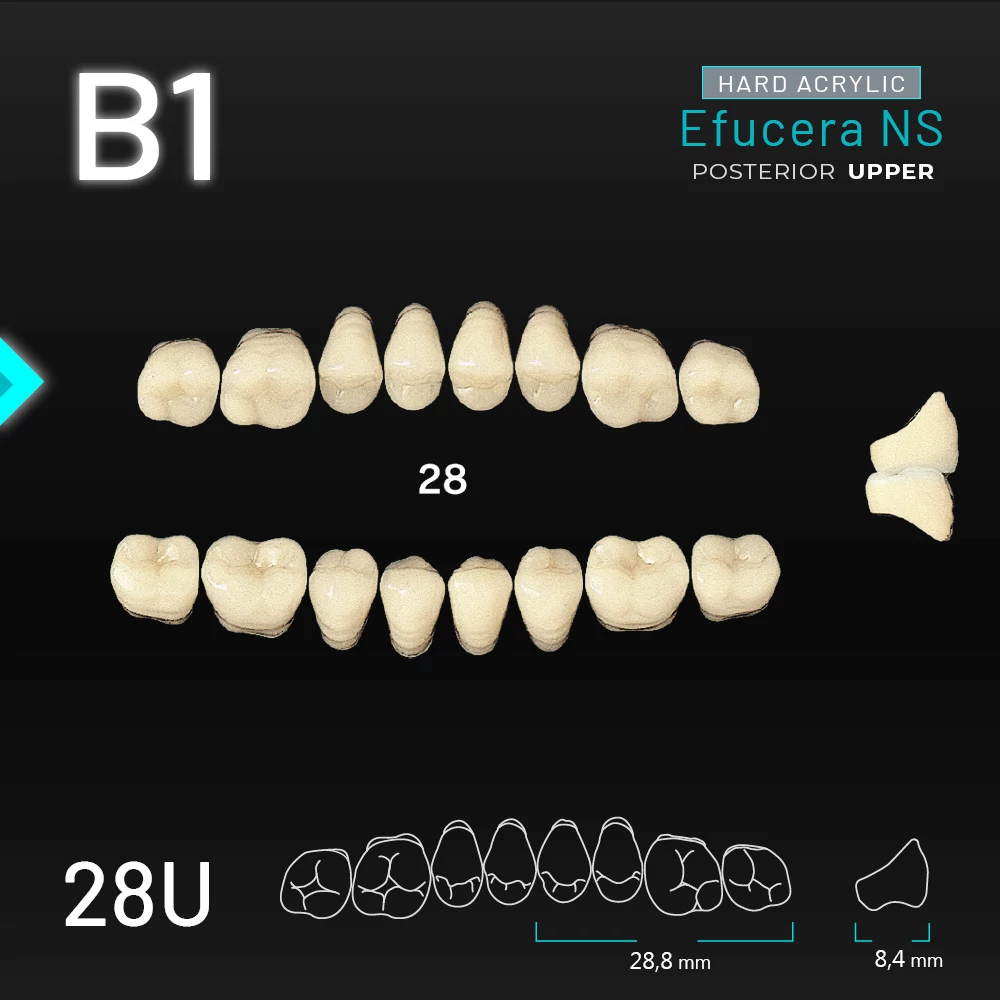 Yamahachi Acryl Efucera NS upper posterior B1-28U