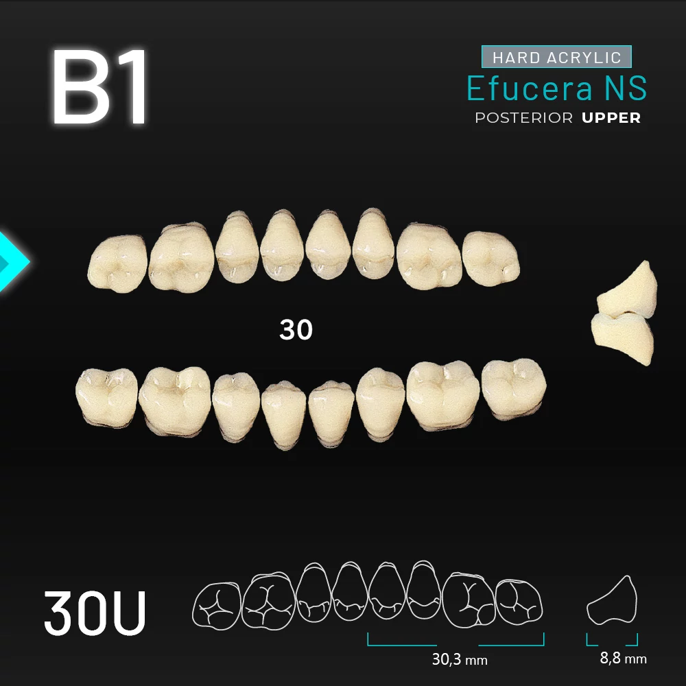Yamahachi Acryl Efucera NS upper posterior B1-30U