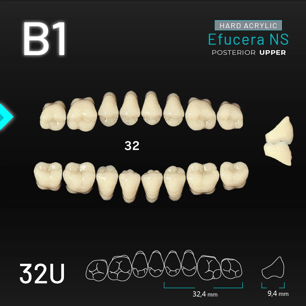 Yamahachi Acryl Efucera NS upper posterior B1-32U