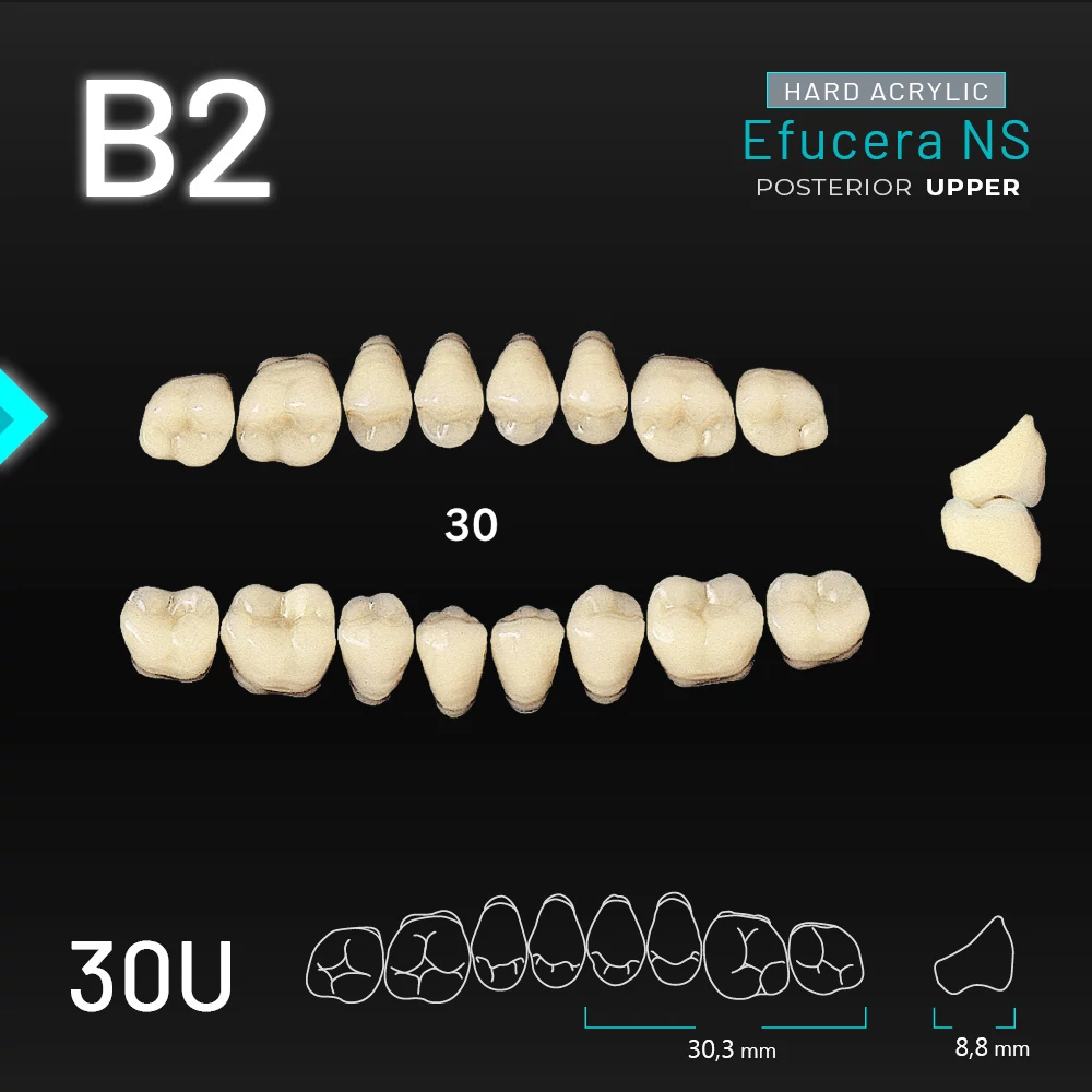 Yamahachi Acryl Efucera NS upper posterior B2-30U