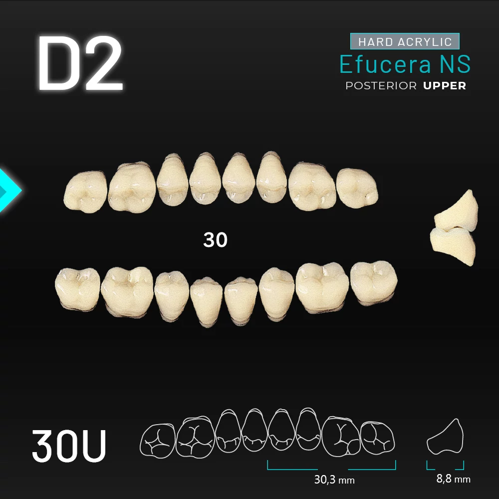 Yamahachi Acryl Efucera NS upper posterior D2-30U