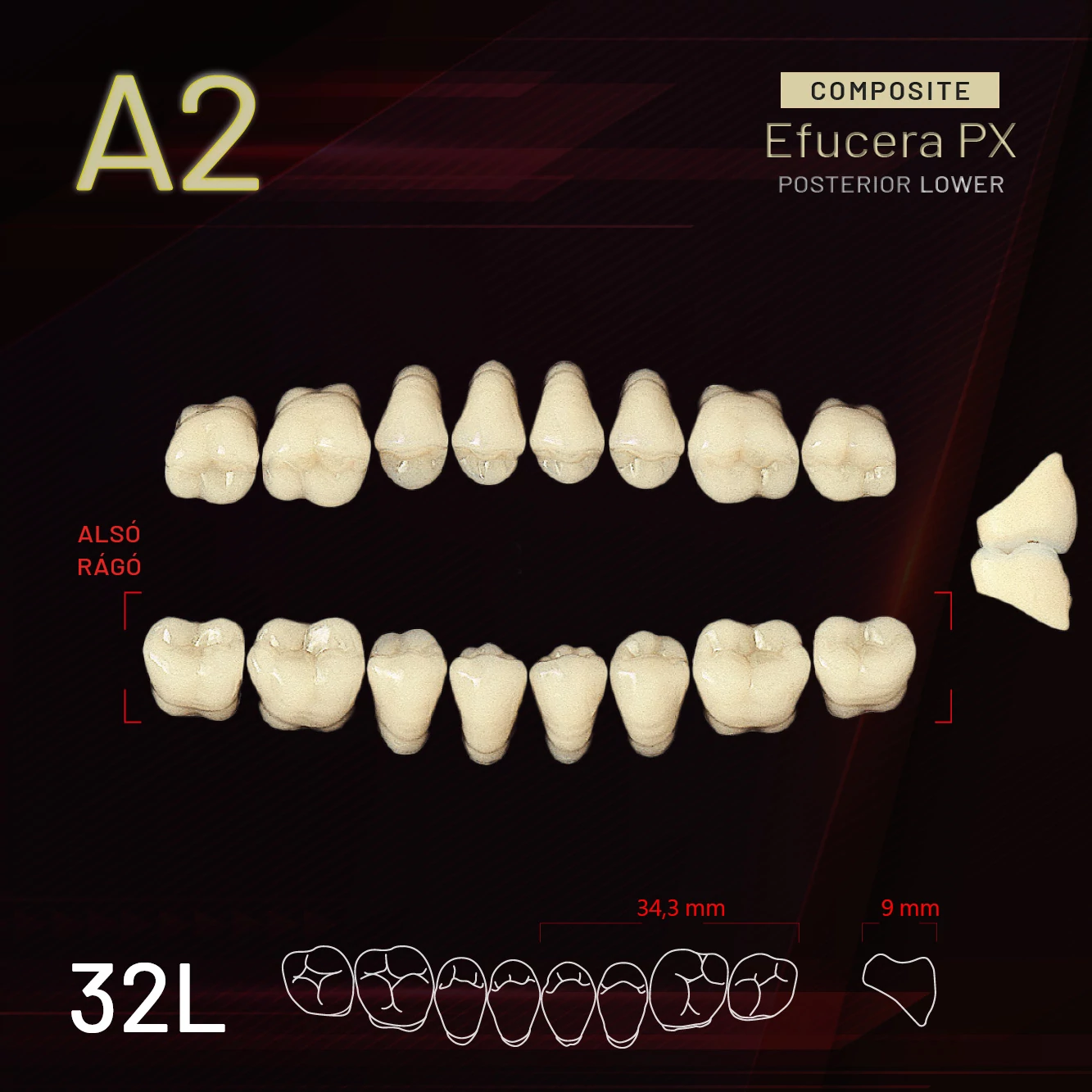 YM Composit alsó rágó A2-32L