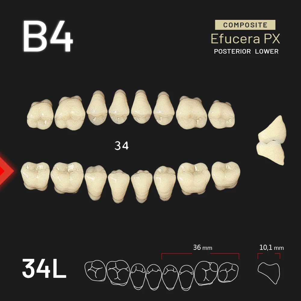 Yamahachi Kompozit Efucera PX alsó rágó B4-34L