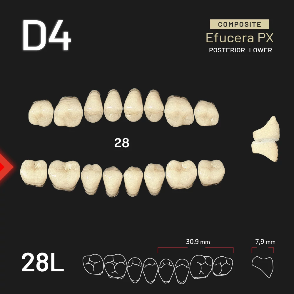 Yamahachi Composit Efucera PX lower posterior D4-28L