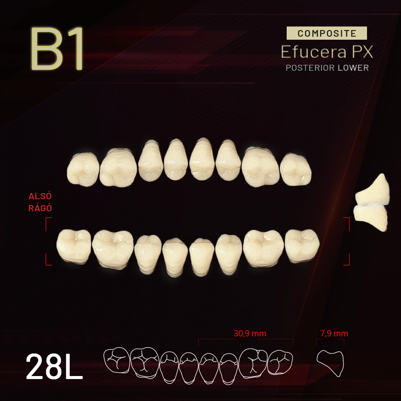 Yamahachi Composit EFUCERA rágó alsó B1 28L