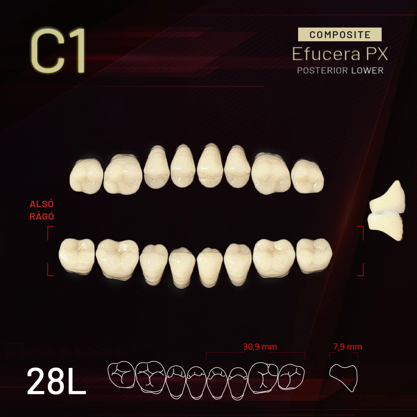 Yamahachi Composit EFUCERA alsó rágó C1 28L