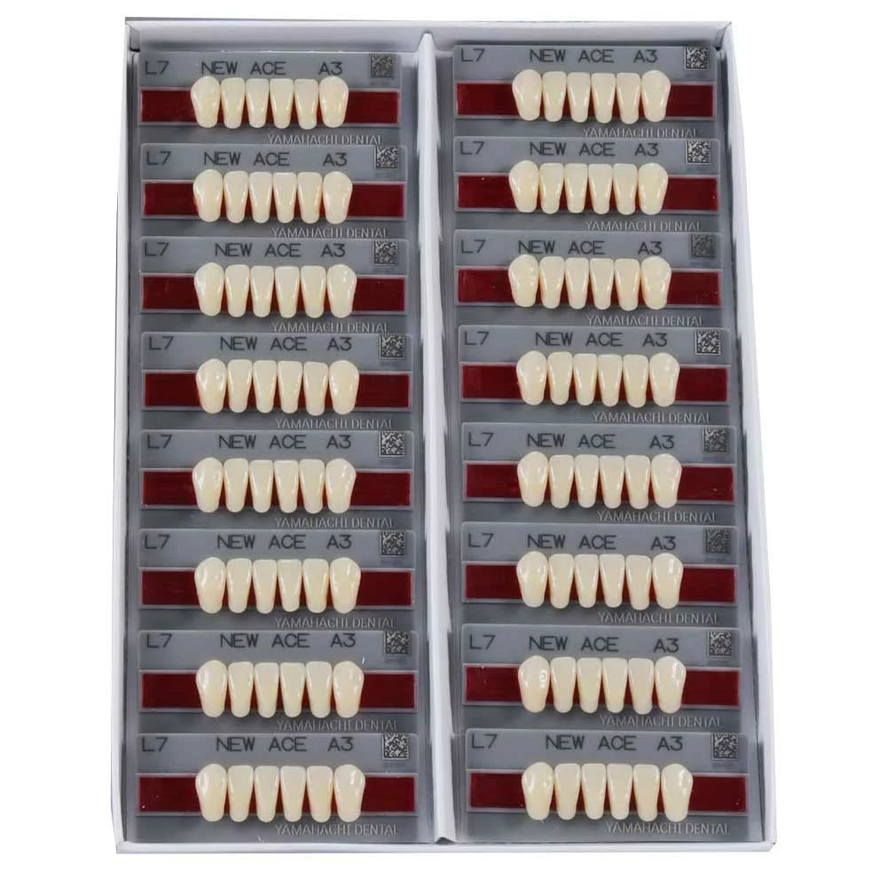 Yamahachi Acryl New Ace lower anterior A1-L2