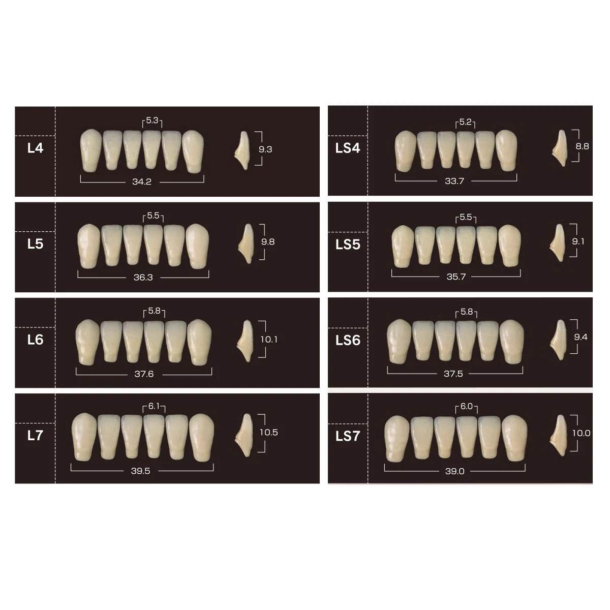 Yamahachi Composit Soluut PX lower anterior B2-L6